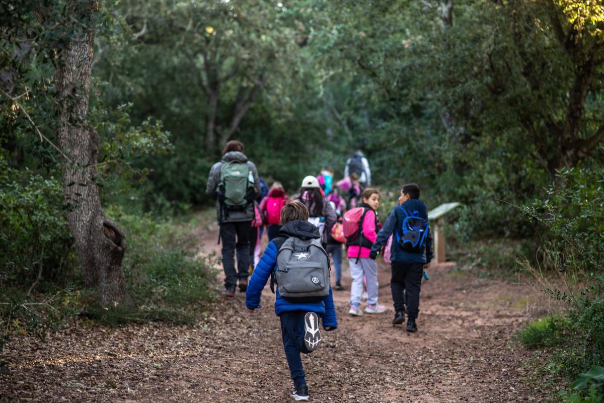Más de 7.400 alumnos participan en los talleres de educación ambiental de la Agència Menorca Reserva de Biosfera durante el curso 2025