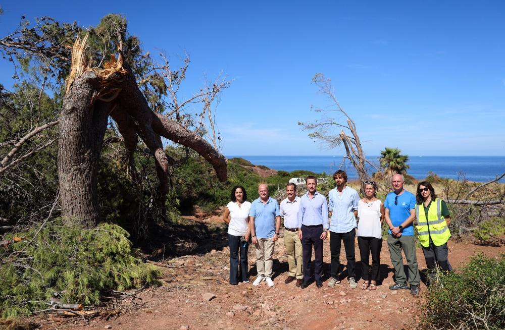 El Consell de Mallorca comienza la retirada de la masa forestal dañada por el temporal en el Port des Canonge